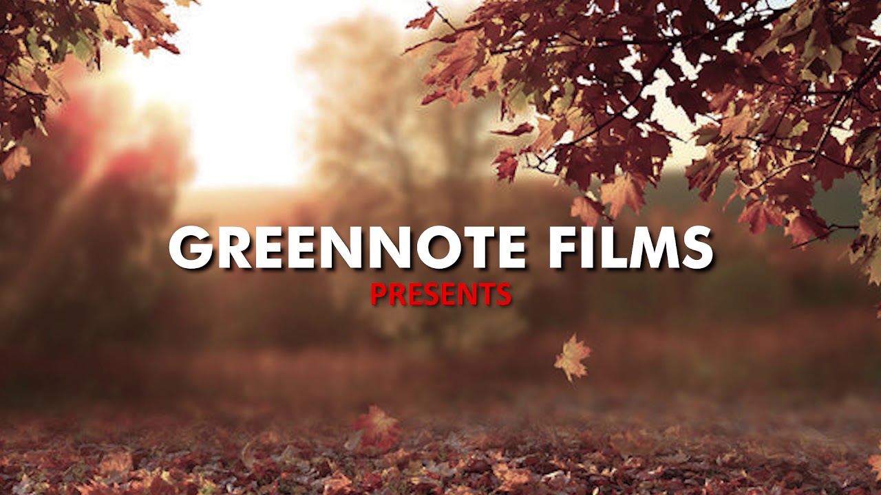 Stalked -OTT web series - announcement teaser