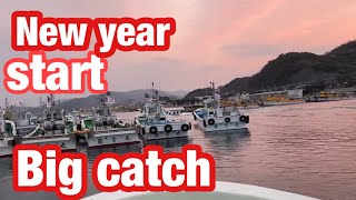 2022 The new year started with a big catch ❗ Japanese shirasu fisherman和歌山県シラス漁は大漁から始まったぞ