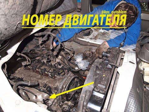 Номер двигателя hyundai porter
