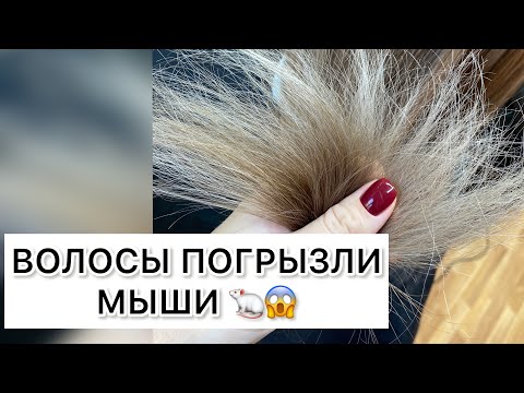 Видео: Как предотвратить сухость волос: 14 шагов (с иллюстрациями)