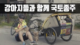 강아지들과 국토종주 자전거 여행