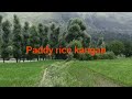sindhu River ganderbal