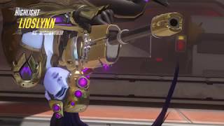 Widow quad kill