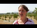 Video intervista sul progetto &#39;Aurumfolium&#39; finanziato dal Psr della Regione Toscana