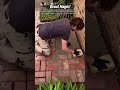 Grout Magic! Transforming a Brick Path into a Solid Patio! ✨🧱 #shortsfeed #construction #masonry