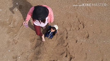 New DJI spark video Final summer 2019 Japan Test Kinemaster