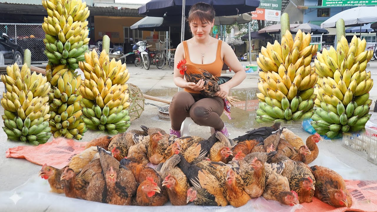 CEO Girl Sell Many Chicken After 6 Month of Raising - Harvest Banana, BambooShoot, Pineapple