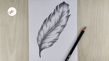 How to draw a realistic feather | Step by step pencil sketch drawing