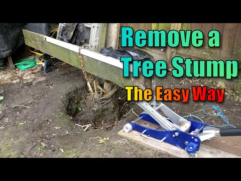 How to Remove a Tree Stump (The Easy Way) - YouTube