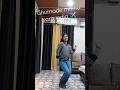 Sara india #dance #trending #shortsvideo #viral #chotu #easysteps #pranjaldahiya #renukapanwar