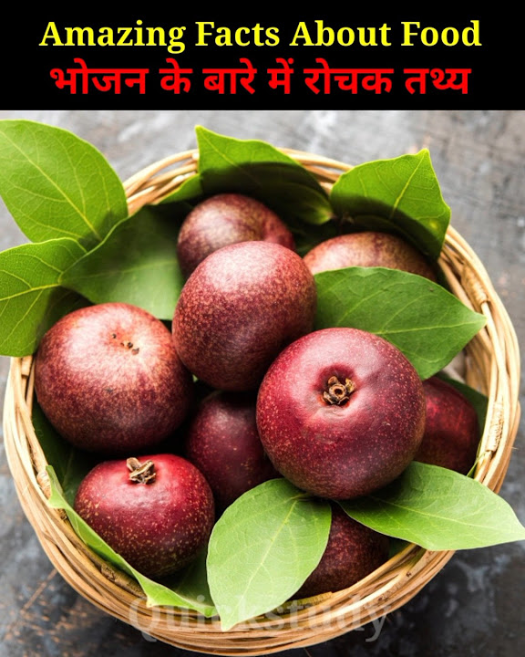 Top 10 Amazing facts About food 🥝🥑🤯 Mind Blowing Facts Food Facts Top 10 Amazing facts About food 🥝🥑🤯 Mind Blowing Facts Food Facts