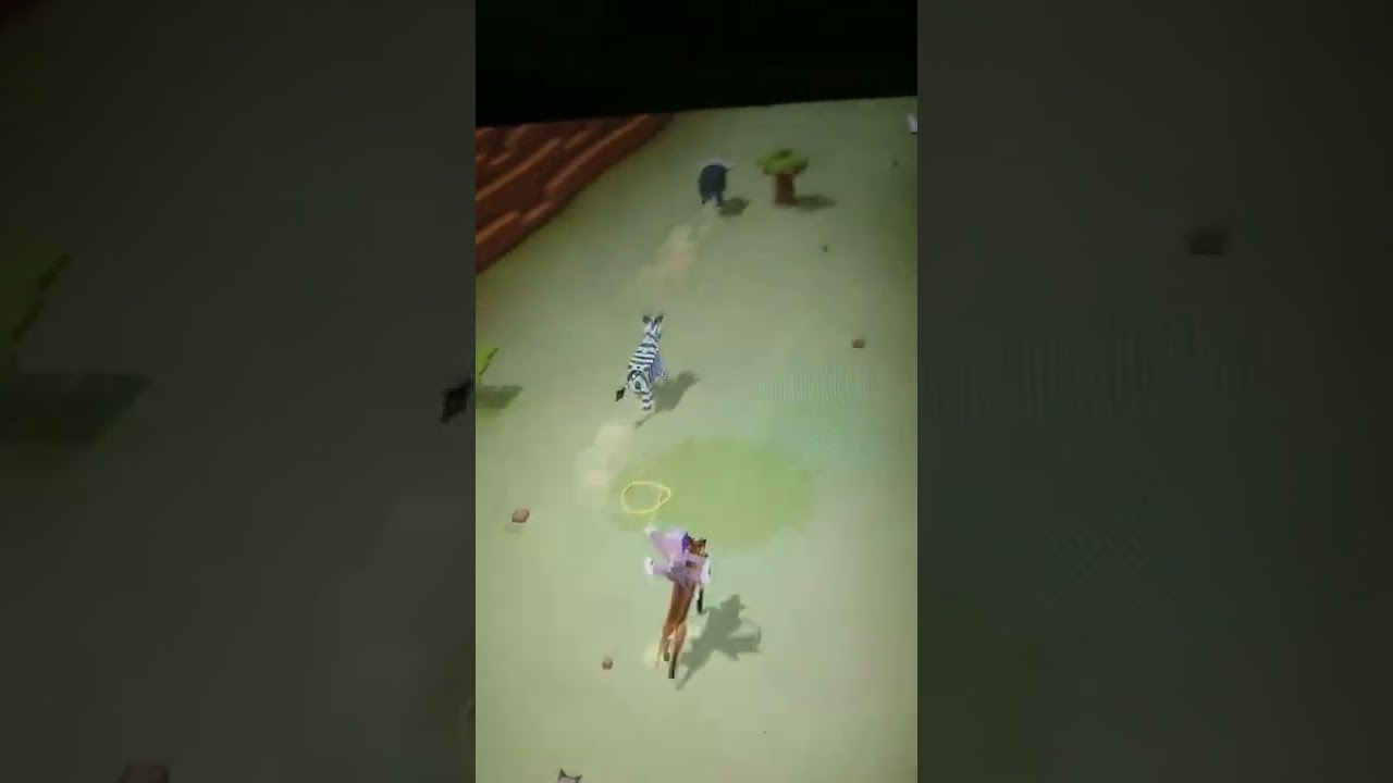 a glitch in rodeo stampede