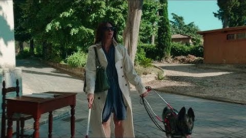 『サスペリアPART2』『ダークグラス』とパオロ・タヴィーアーニ監督『遺灰は語る』の接点、ダリオ・アルジェント作品の魅力をイタリア映画祭2023上映作品と比較して考察する