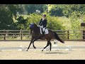 Rusper&#39;s Lad ~ second time out competing &amp; wins!