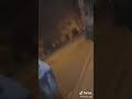 شبع ضحك معا لحاج