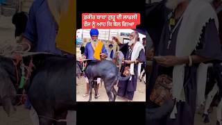 farmingbaba viral shorts trending reels reelfb famous goat bakri