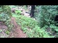 Cone Peak Trail Loop - Part 15 - Creek Time