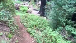 Cone Peak Trail Loop - Part 15 - Creek Time