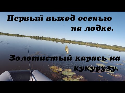 Рыбалка на карася