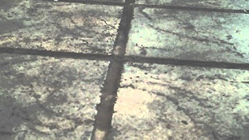 YouTube Data Feed Test