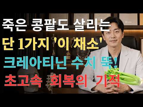 크레아티닌 수치가 높다면? 신장이 좋아하는 5가지 채소! 60세 이후 꼭 먹어야 할 건강꿀팁