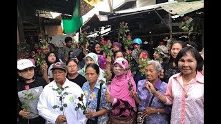 Revenge mob hit Phuket Town eclipse! Rampaging monkeys! || January 23