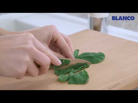 BLANCO Dalago