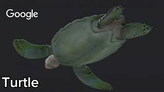 Reacting to Google 3D Models! | 3D Models For Kids | Models By Google 