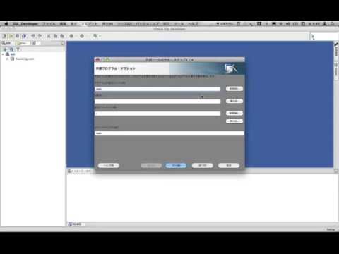 Oracle SQL Developer Data ModelerをOracle SQL Developerから起動する例