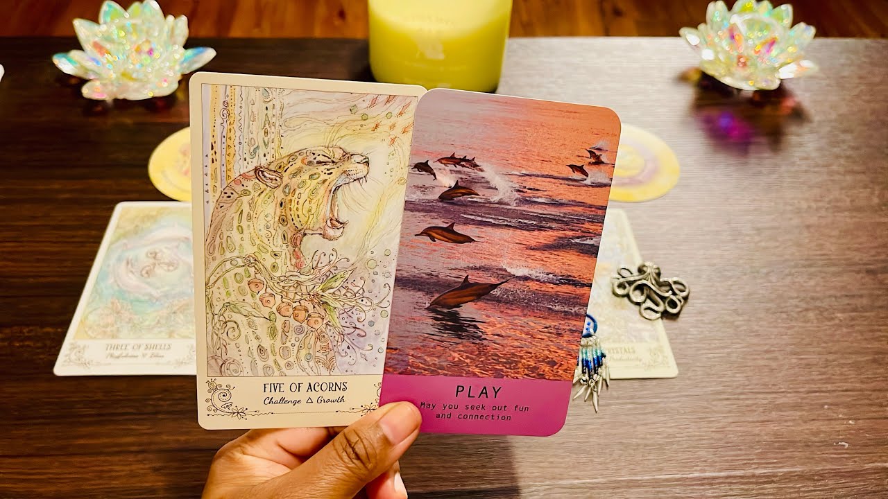 You Have Been Patiently Waiting! Now is The Time! FEBRUARY 2026 Weekly Tarot Reading 🔮