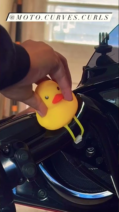 AMAZON MOTORCYCLE FIND - Rubber Duck