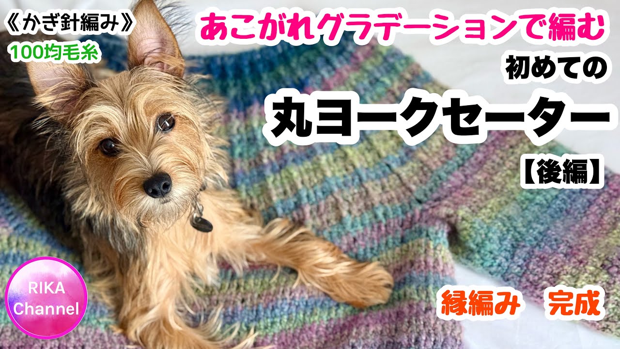 Crochet 🧶 Part 2 [My first round yoke sweater with a dreamy