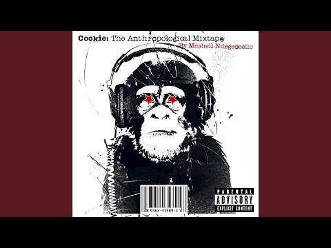 Meshell Ndegeocello — Jabril