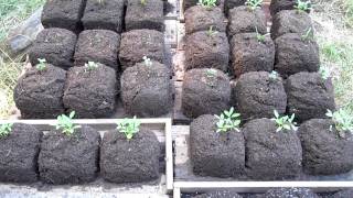 Start of second biochar test, series one phase A, Aug 15 2011