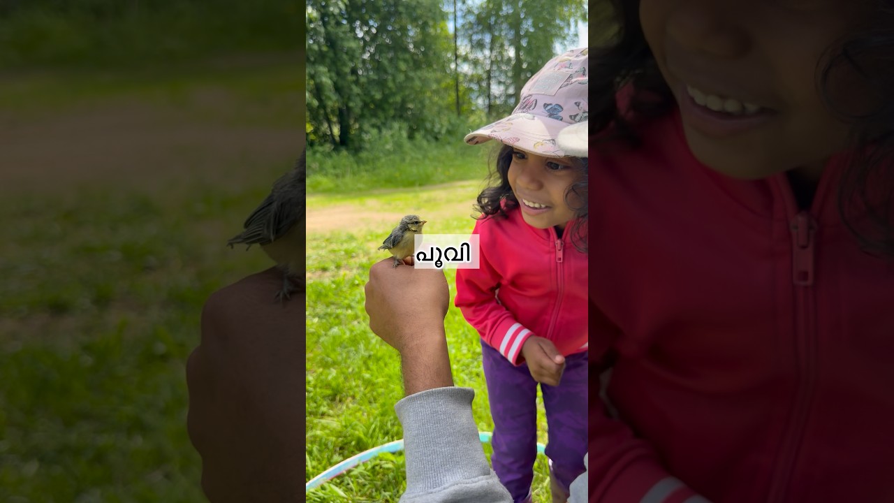 അവർ പോയപ്പോൾ ഒരു മൂകത ☺️🦜#mallusinfinland #minivlog #familyvlog