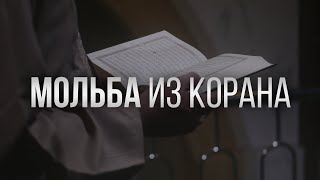 Омар Хишам аль-Араби - Мольба из Корана