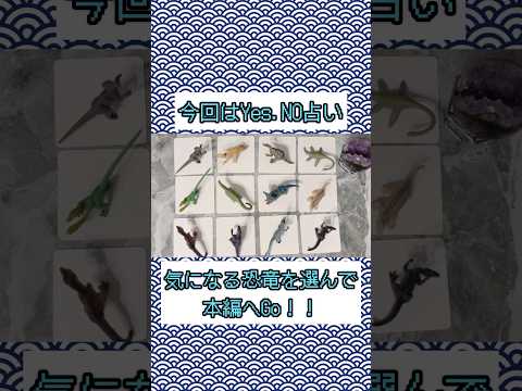 その質問、yes？no? 本編のリンクは概要欄にあります✨✨のサムネイル