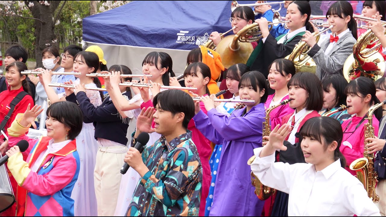 習志野市立習志野高等学校吹奏楽部 ＠花の実園さくらまつり 250406