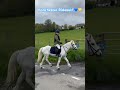 Joining in for part of Bonchester Rideout! 💙💛 #hawick #hawickcommonriding #equestrianjourney