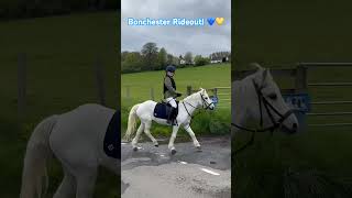 Joining in for part of Bonchester Rideout! 💙💛 #hawick #hawickcommonriding #equestrianjourney