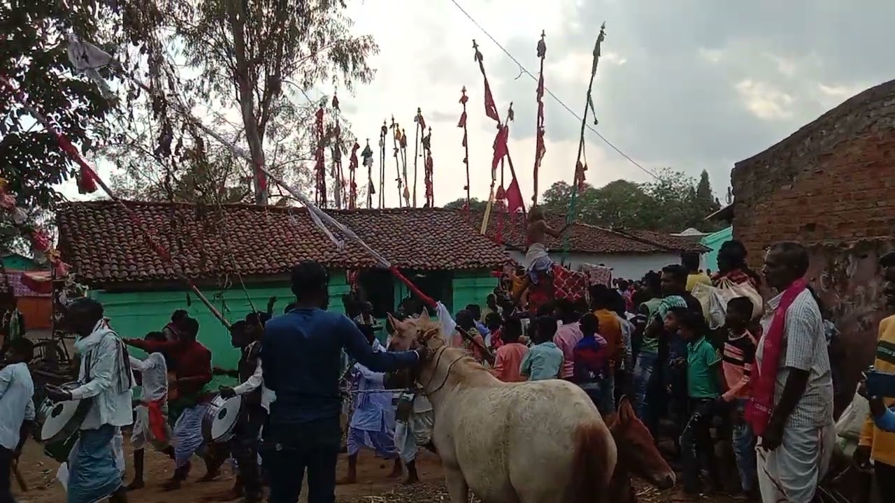 2024 Mang madai jatra Mundibeda 🙏(जय मां गादीमाई )