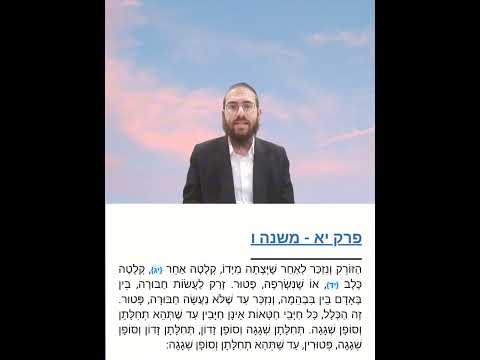 Shabbat Chapter 11 - Youtube