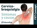 ¿Qué es la cervicobraquialgia o dolor cervical irradiado y cuáles son sus causas y síntomas?