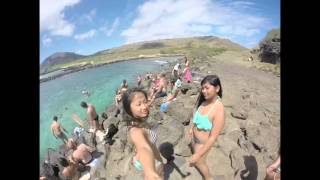|GoPro 3+| SPRING BREAK 2k16- ALAN DAVIS