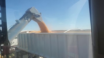 How to unload a grain cart.