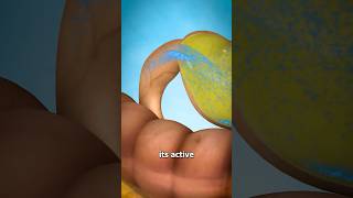 How A Pill Works Surgeon Reacts