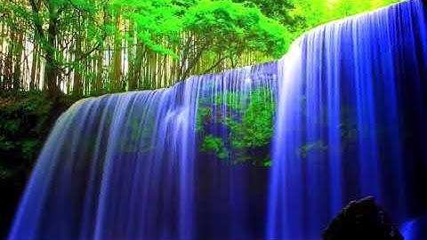 اخترنا لكم سورة الكافرون من القاريء عبدالله المطرود