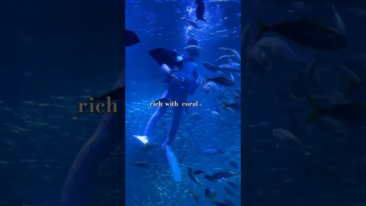 Where limestone cliffs meet turquoise dreams | El Nido, Philippines