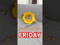 It's almost Friday! 🎉 #trending #cat #viralvideo #fyp #fypシ゚#shorts