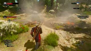 The Witcher 3 Remastered | Geralt vs Giant Centipede 🔥⚔️